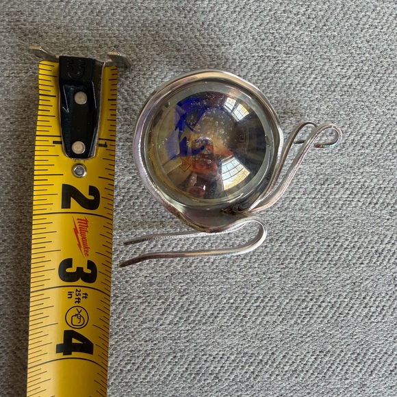 Marble Fork Snail - Picture 4 of 9